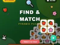 Find n Match image